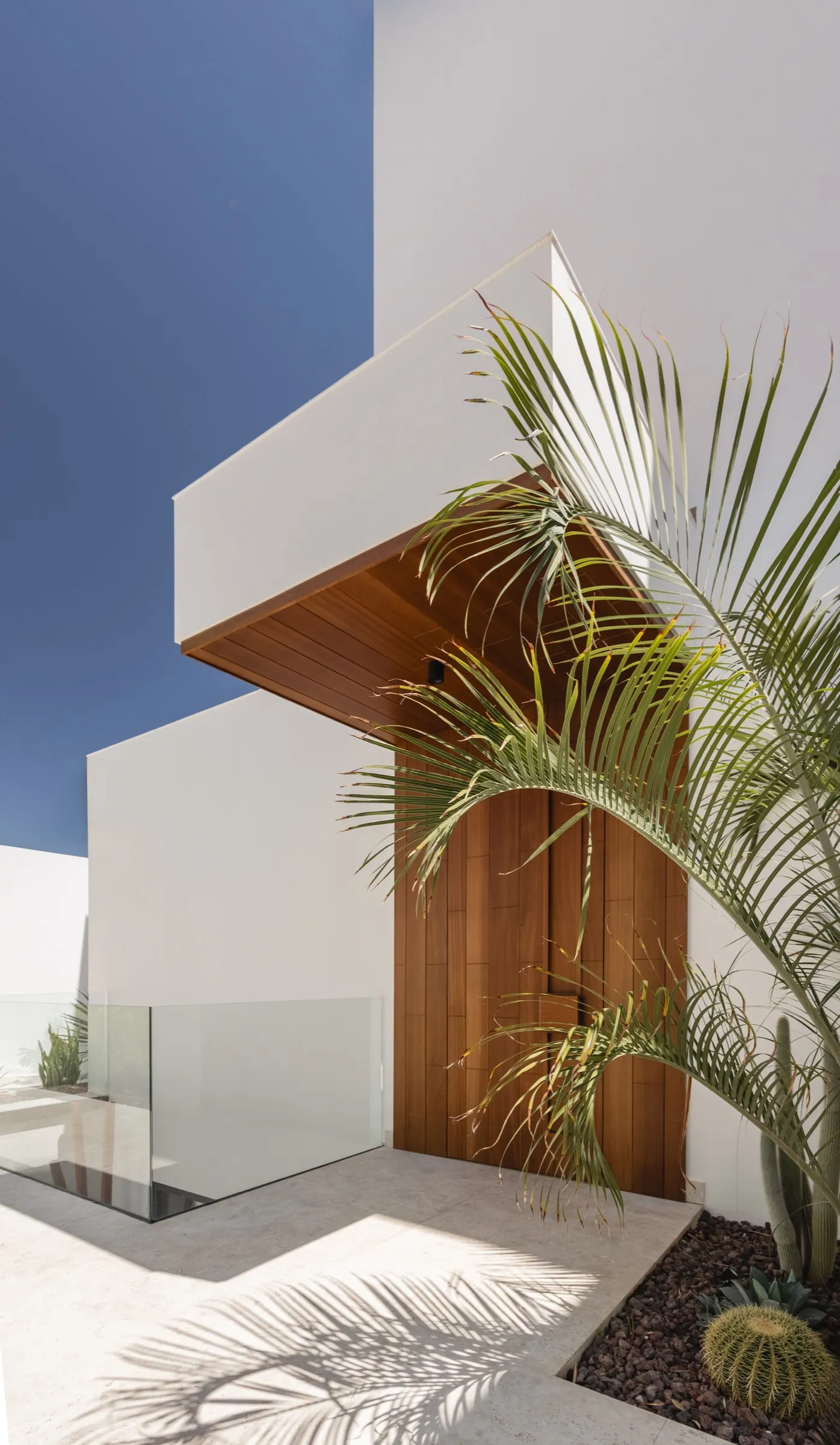 Entrada exterior de Villa Möet con puerta de iroko y palmera